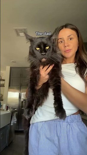 #JasonDeruloTV // 🐈‍⬛ Cat #GotPermissionToPost From ‪@WildManecats‬ #Tonight (D.I.Y.A)