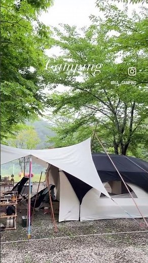 경주 포레스트 캠핑장애견동반 전용사이트