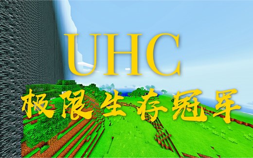 中国第一个PE UHC 极限生存冠军服务器