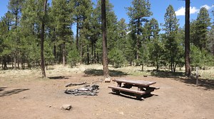 Forest Road 9350 Designated Dispersed Camping Reviews