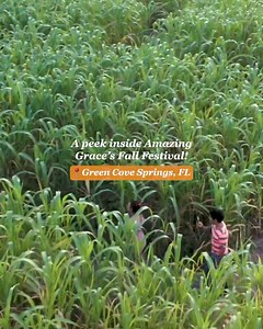 Join us for Fall fun on the farm today! 🎃 Pumpkins, photo ops, attractions & more! 🍂🤩 Don’t miss out! 🎟️ Discounted tickets here 👉 agcropmaze.com/fall-tickets | Amazing Grace Family Farms