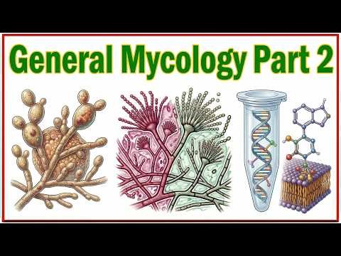 7. General Mycology Part 2: Lab Diagnosis & Antifungal Mechanisms | Microbiology 🩺