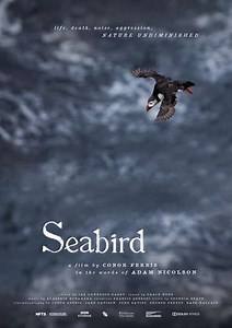 Seabird - Movie