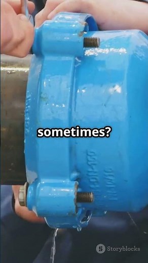 How Spring Loaded Pilot Operated Check Valve Works. #pneumatics #controlengineering #controlvalve