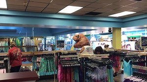 3.1K views · 150 reactions | Escaped Tyrannosaurus Rex found shopping at Ron Jon Surf Shop in Cocoa Beach! Now through April 30th, check out the cool dinosaur exhibit at the Brevard Zoo! For more info, visit https://dinosareback.com/. | Ron Jon Surf Shop Main Page | Facebook