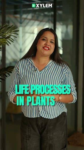 Life Processes in Plants - Full Chapter Explanation