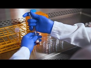 Overview - Hematopoietic Stem and Progenitor Cell Research - Hematopoietic Research - Areas of Interest - Scientific Resources