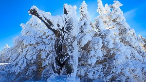 Friends and Family Discount Login | Stratton Mountain Resort