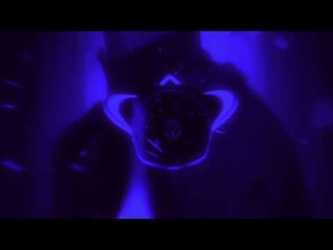 FHONK! ACIDO ULTRA (Slowed) Use Headphones set up and play the FUNK#phonkagressive