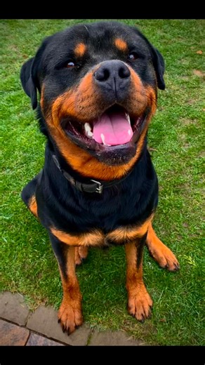 1.8K views · 26 reactions | Mike Model on Reels | Facebook