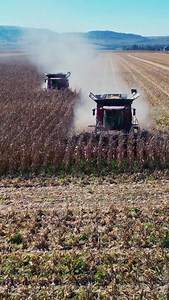 1.5K views · 13K reactions | Finishing Up with the Maize Season !  - - #franklyfarming #agricultureworldwide #agriculture #farmlife #caseih #farmer #tractor #harvest | Frankly Farming | Facebook