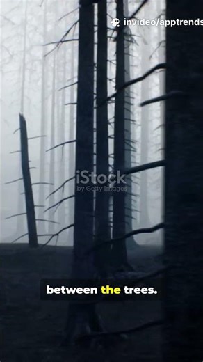 The Jersey Devil of the Pine Barrens — New Jersey’s Most Terrifying Legend #horrorstories #horror