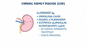 Video: Chronic kidney disease: Clinical sciences - Video Explanation! | Osmosis | Osmosis