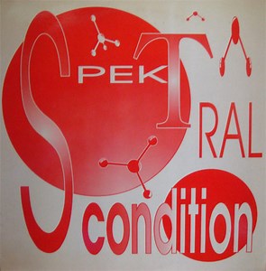 Spektral Condition - Cat Four