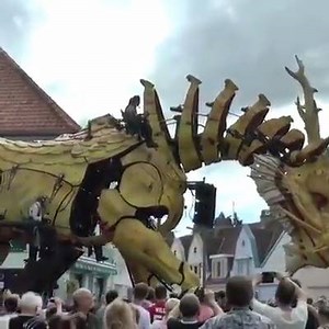 20K views · 602 reactions | 영상 / LES MACHINES DE L’ÎLE Work by La...