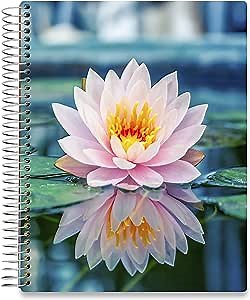 Tools4Wisdom Daily Planner 2020-2021 - Hardcover with 8.5x11 Colorful Interior - Vertical Weekly Layout - Monthly Calendar Tabs and Stickers (2020 2021 Academic Year, Q2SO1)