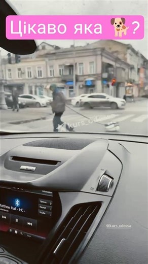 🤣In Odessa, a man is walking a vacuum cleaner. It seems some people have already started celebrat...