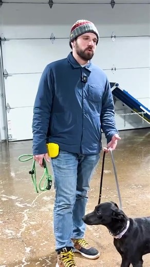 The Prong Collar Training Advantage The reason why we start obedience work with a prong collar is to create clear, reliable communication from the beginning. Leash pressure gives the dog a mechanical way to understand each command: sit, down, place, heel. Without relying solely on motivation like food. Once that foundation is established, rewards such as food and play can be layered in to build engagement and enthusiasm. The result isn’t just a dog that performs for treats. It’s a dog that under