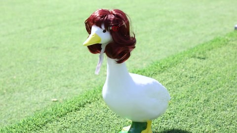 DECOHS 4 Pcs Porch Goose Wigs with Hair Clips, Cute Lawn Goose Statue Braid Wig, Porch Goose Outfits Costume for Outdoor Garden Patio Yard Goosey Decoration