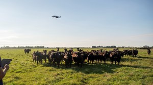 Smart Grazing: AI Integration Into Grazing Management - farmdoc