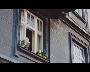 4.3K views · 37 reactions | Stay single, stay available! Check out our hottest new Singles, Unilens sunglasses from Fastrack. To own this look, head to your nearest #TitanEyeplus store or shop now: goo.gl/ZHn6B2 | Titan Eyeplus | Facebook