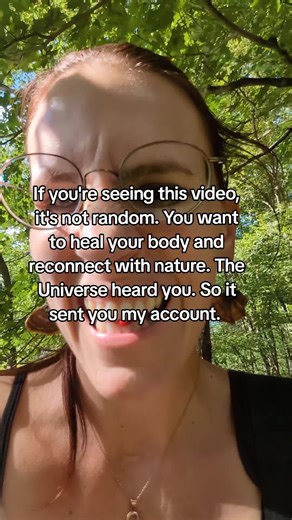 I'm Amelia, Herbalist, author, and teacher. I help people understand their bodies and minds so healing actually makes sense. I teach foraging and herbalism classes in Connecticut and beyond, and I bridge the gap between healing the body and mind. #herbalistoftiktok #forager #wildmedicine #herbalism