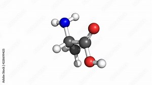Alanine (amino acid) molecule, conventional coloring. Rotating ball and stick model, seamless loop.