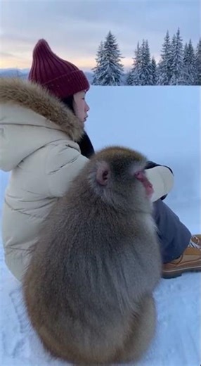 A monkey walking with girls. #monkeylife #viralvideo #funny #monkeygirl #viralshort #video #foryou