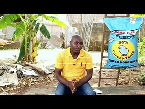 Types Of Chicken Feeds In Nigeria