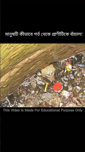 How the man saved the animal from the hole #facts #bangla #ytshorts