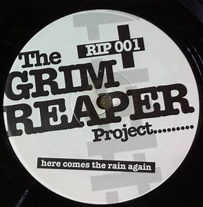 The Grim Reaper Project - Here Comes The Rain Again