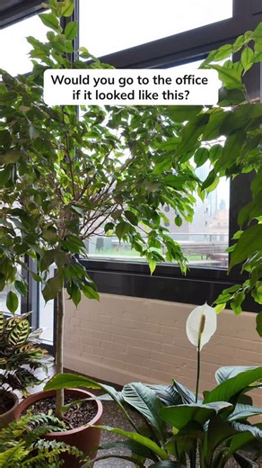 Aliena Cai on Instagram: "This is really common 😅 P.S. Curious about a career in UX design? Drop “roadmap” in the comments and I’ll send you my free career guide 💬 #fasttrackux @fasttrackux"