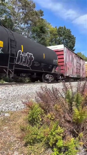 Dare you to try 🤪😳😬#train #railfanning #csxrailroad #csxtrain #fyp