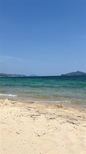 お前ら甘えんなよ。「男運ないんだよね〜」その言葉、免罪符にすんな。 毎回、顔がいい雰囲気がいい女慣れしてそう“なんかモテそう” この辺だけで選んで、安定より刺激、安心よりドキドキ、誠実さよりスリル。 それ選んだのお前だろ。 刺激的な男に飛びついて、連絡遅い、女影チラつく、不安にさせられて病んで、最終的に「男ってほんとクズ」 違う。刺激を優先した結果だろ。甘えんな。 安定した男を「つまんない」「ドキドキしない」って切り捨てて、自分から不安定な沼に突っ込んでおいて、後から被害者ヅラは都合良すぎ。 顔に釣られるな。魚かお前ら。キラキラしたルアーに即食いついて、釣り上げられてから「こんなはずじゃなかった」って騒ぐの、もう様式美。 いい男がいないんじゃない。 安定を選ぶ覚悟がないだけ。 安心される関係より、追われるかどうかで価値測って、恋愛を自己肯定感の補充に使ってる限り、そりゃ不安な男しか残らん。 男を変えろ？運が悪い？違う。自分の選択を正当化するな。 見る目、判断力、価値基準。 そこ磨かずに「幸せな恋したい」は順番逆。 ゴタゴタ抜かすな。刺激を選んだなら、不安もセットで引き受けろ。それが嫌な