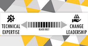 What is a Black Belt project? | PMI