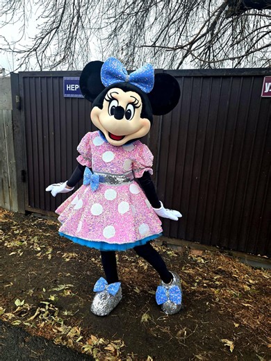 Cute Mouse Girl Mascot Costume – Handmade Event Character - Etsy