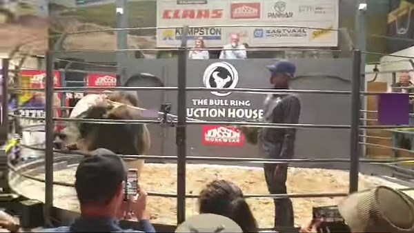 Boran bull BH 18 749 'Cyclone' was sold for a record price of R8 million to Sinyo Boran Stud in Zimbabwe during the Hurwitz Farming 10th Production Auction. Click the link to find out more about this exceptional bull: https://bit.ly/3WOQV0J | Farmer's Weekly SA