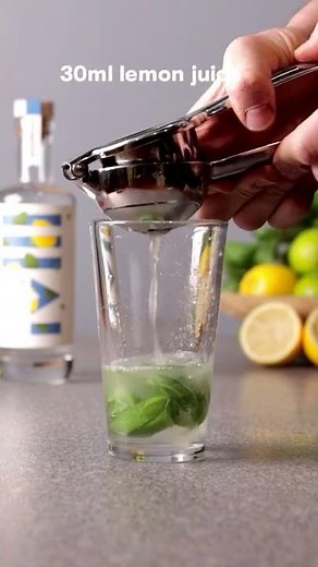 Basil Smash | Gin Cocktails by Steve the Bartender