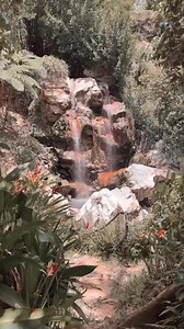 For a more intimate nature tour, Sapphire Falls & Jungle Spa is a great way to explore our rainforests. Waterfalls, private mud baths, and mineral pools await at this serene attraction. 🏆 Discover Saint Lucia with our #NobelLaureateFestival2024 giveaway, and enter for a chance to WIN A 5-NIGHTS STAY FOR TWO at Bay Gardens Resorts Marina Haven, including ✈️ flights and airport transfers. ✔️ ENTER HERE: stlucia.org/NobelLaureateGiveaway ✔️ Enter via Facebook or Instagram - one winner will be rand