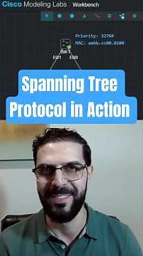 Spanning Tree Protocol in Action - Who's the Root Bridge? #cisco #ccnp #ccna #spanningtree