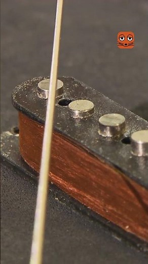 Wie funktioniert eine E-Gitarre? | Die Maus | WDR