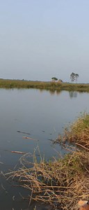 162K views · 3.6K reactions | Shikariyon ka vidhansabha Char number Thokar #reelschallengereelschallengereelschallengereelschallenge  | Muntafique Khan | Facebook