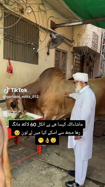 Eid UL Azha 2025: Celebrating Qurbani Traditions