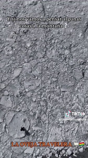 YA SALE YA SALE 🔈🔈🔈#lapaz_bolivia🇧🇴 #turismolapaz #viajes #laovejatravelera #fyp #ventanani