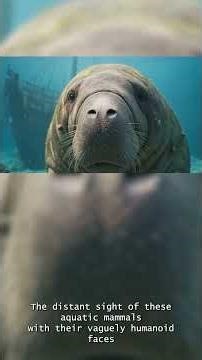 🎬 #7 – Mermaids Monster Myths Explained