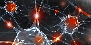What's the Difference Between Neural and Neuronal Stem Cells?