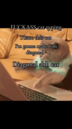 Funny Cat Moments: Diagonal Meme Compilation