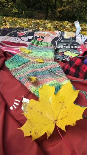 I knit a christmas stocking