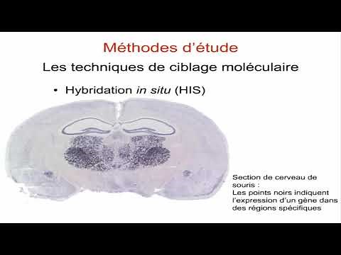 Méthodes d’études en biologie cellulaire