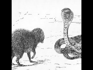 Game Theory Tutorial: Dynamic Games: Representation and Strategies in a Sequential Game